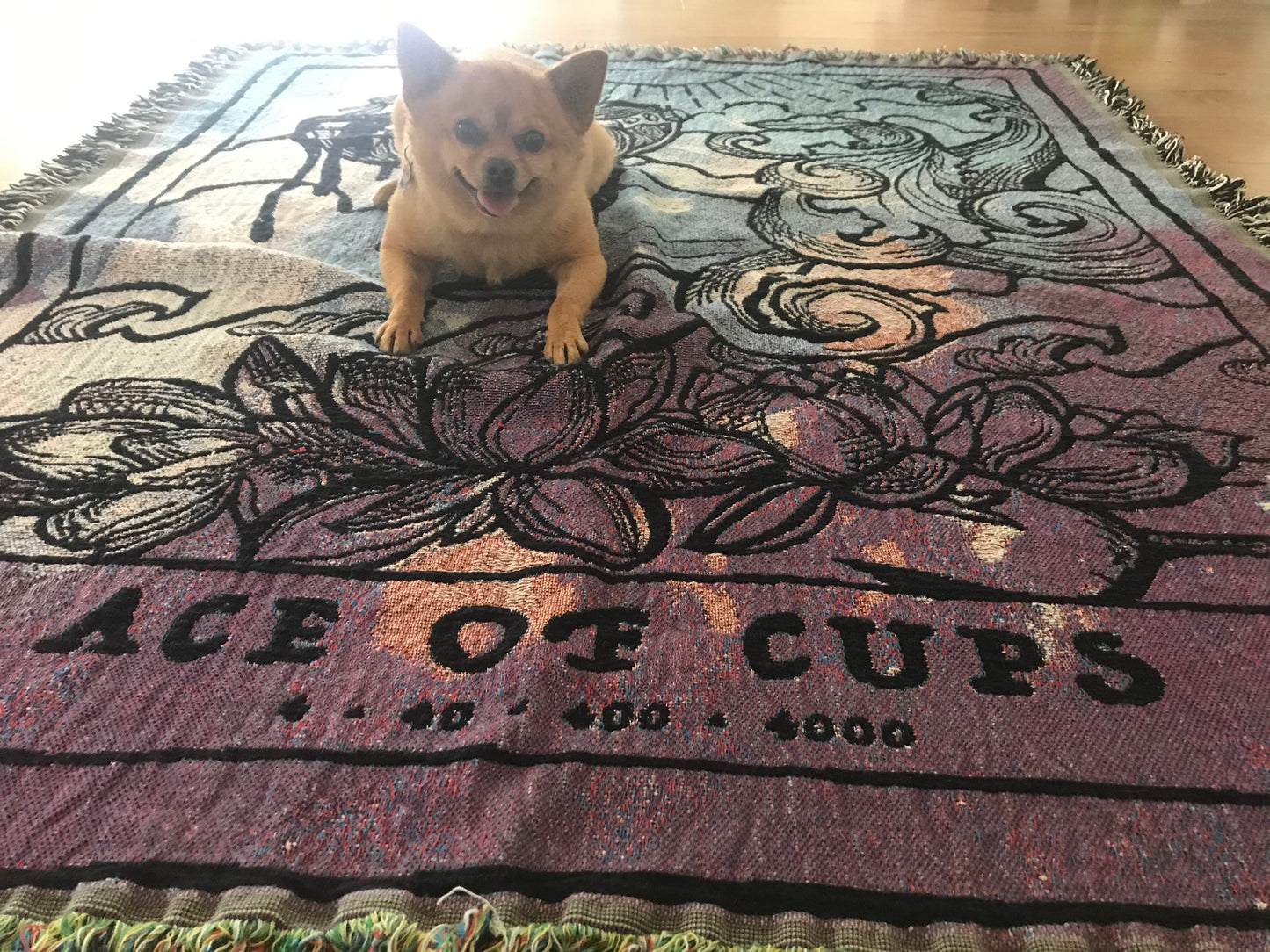 Ace of Cups Blanket